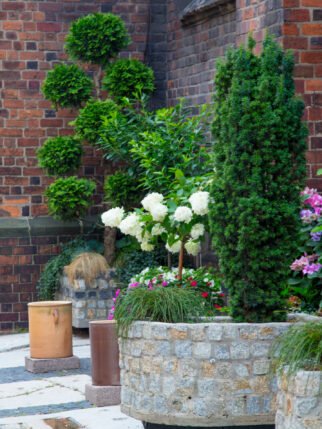 Beautiful flowers near red brick wall at street